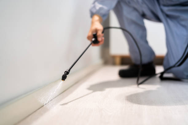 Licensed Pest Control service in Clinton, WI - Show Me Pest Control