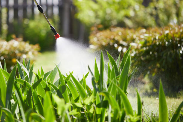 24/7 Emergency Mosquito Control experts in Clinton, WI